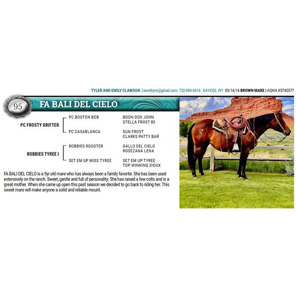 FA BALI DEL CIELO