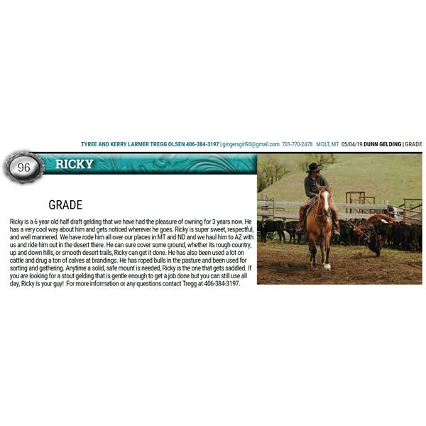 RICKY - GRADE