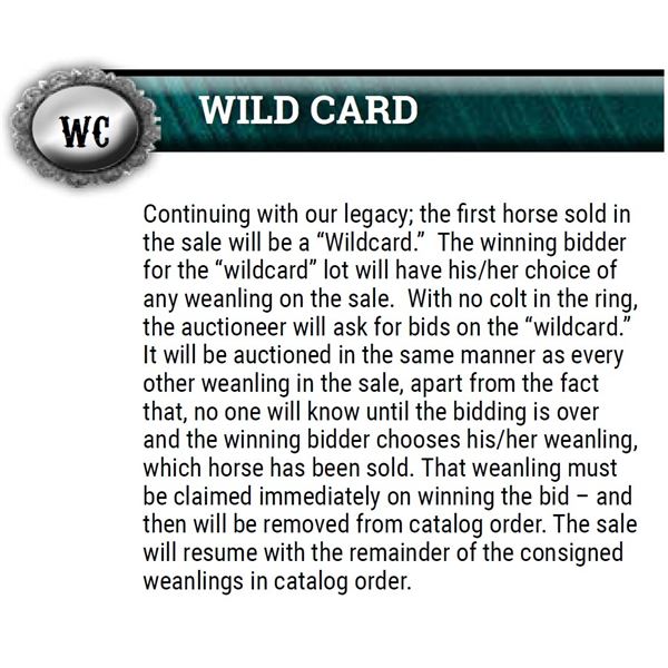 WILD CARD