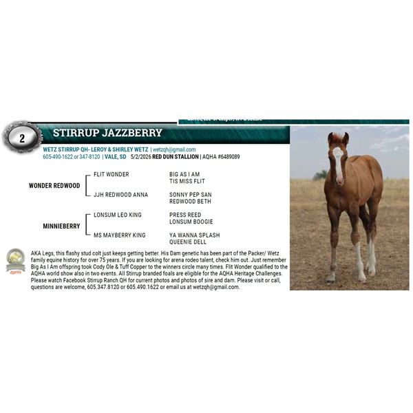 STIRRUP JAZZBERRY