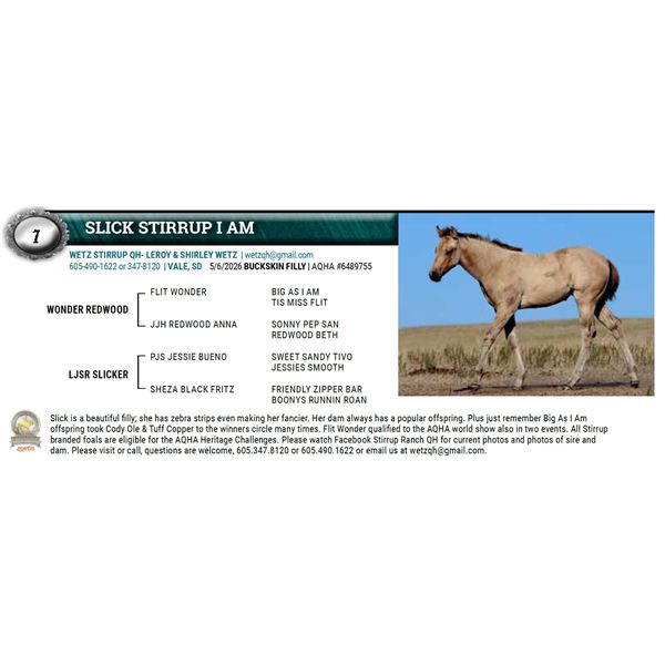 SLICK STIRRUP I AM