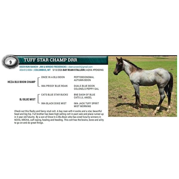 TUFF STAR CHAMP DRR