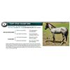Image 1 : TUFF STAR CHAMP DRR