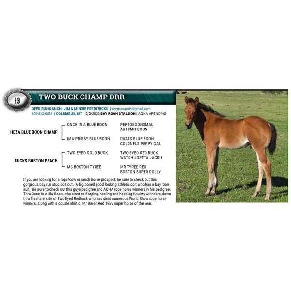 TWO BUCK CHAMP DRR