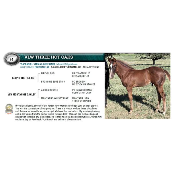 VLW THREE HOT OAKS