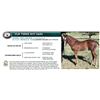 Image 1 : VLW THREE HOT OAKS - HERITAGE ELIGIBLE