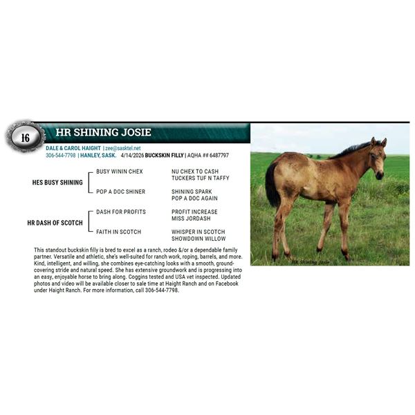 HR SHINING JOSIE