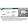 Image 1 : COLONEL EMBERS MOCHA - HERITAGE ELIGIBLE
