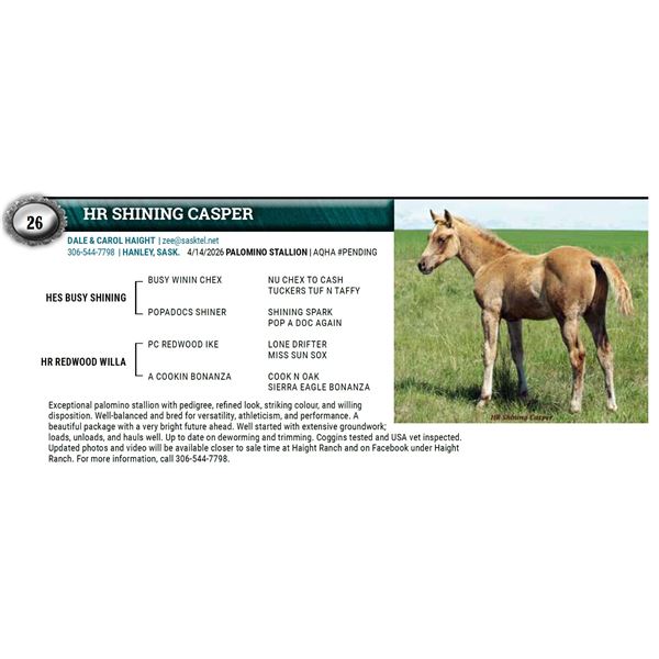 HR SHINING CASPER