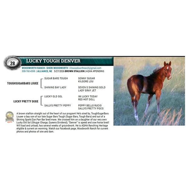 LUCKY TOUGH DENVER