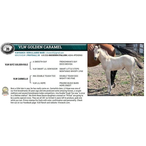 VLW GOLDEN CARAMEL