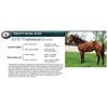Image 1 : PROFIT ROYAL ROXY