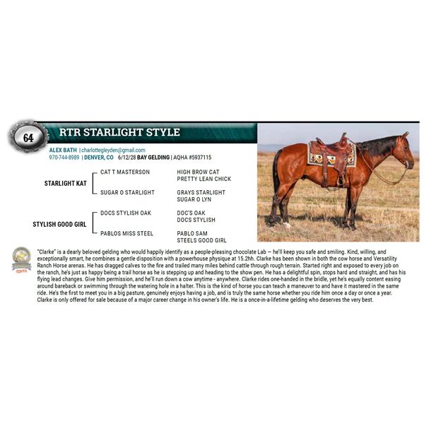 RTR STARLIGHT STYLE