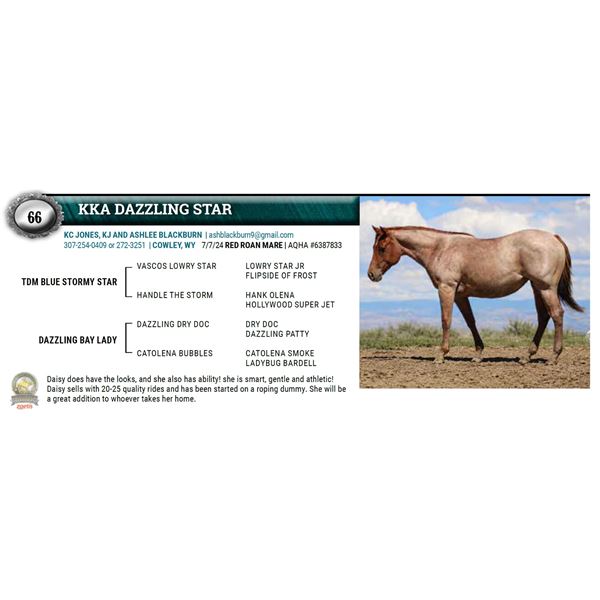 KKA DAZZLING STAR