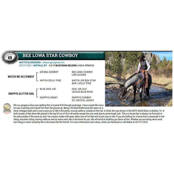 BEE LOWA STAR COWBOY