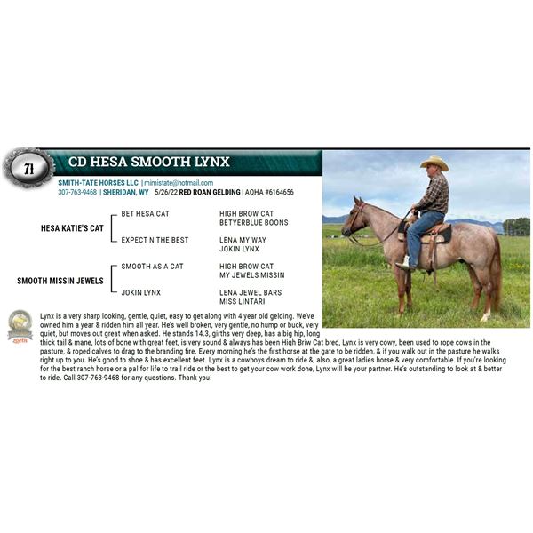 CD HESA SMOOTH LYNX