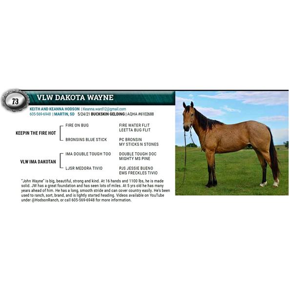 VLW DAKOTA WAYNE