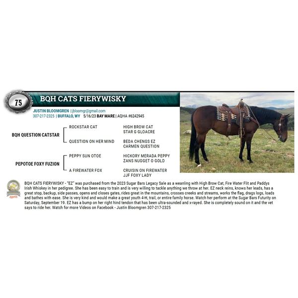 BQH CATS FIERYWISKY