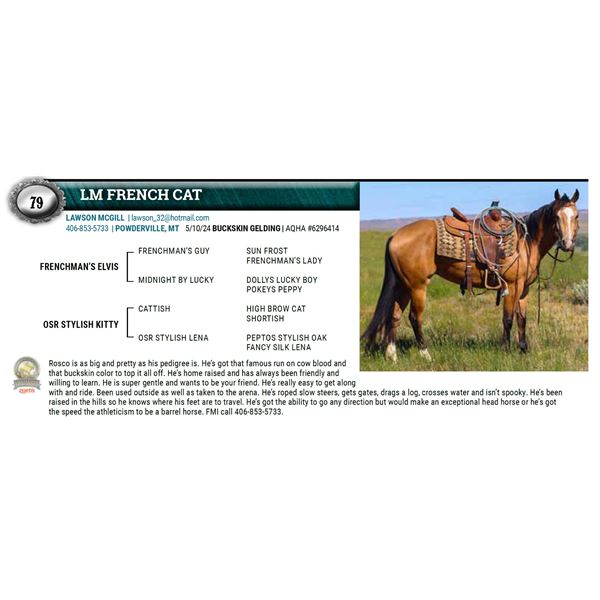 LM FRENCH CAT