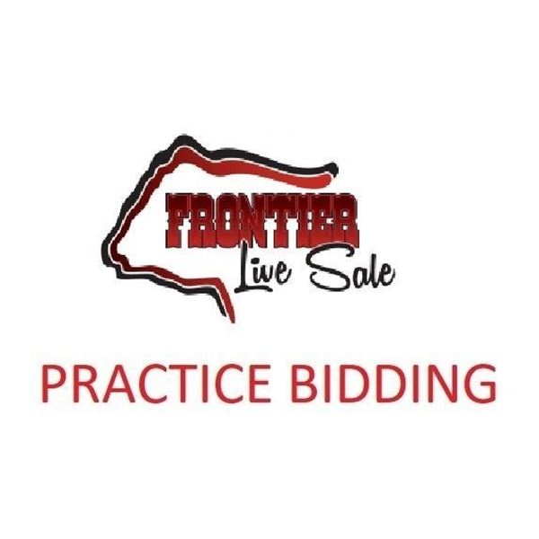 PRACTCE BIDDING