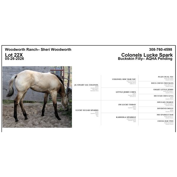 Colonels Lucke Spark
