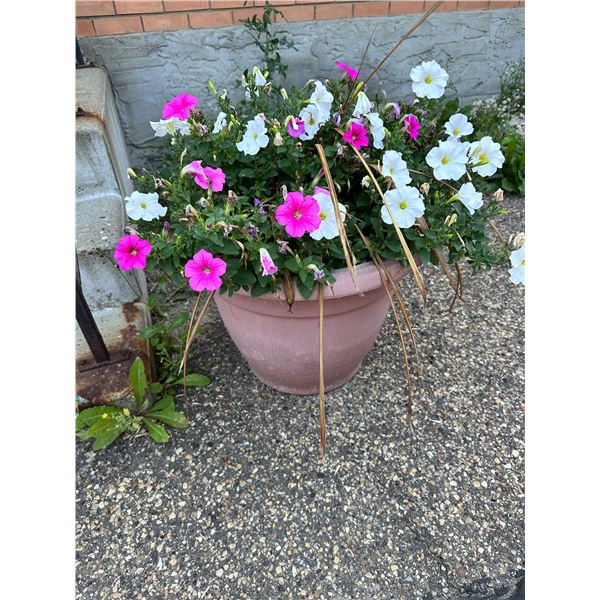 2 Planters with Flowers
