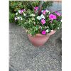 Image 2 : 2 Planters with Flowers