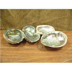 Lot of 4 abalone shells (2)