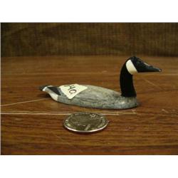 CHOICE on 2 Al Mayac birds: Canada goose (2)