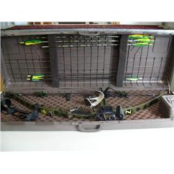 Bow with arrows in hard gun case (2)