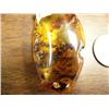 Image 2 : Prehistoric fossilized bee in amber 2" long (3)