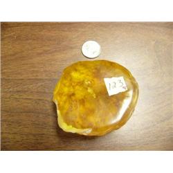 CHOICE on 2 prehistoric fossils: insect and plant life encased in amber (3)