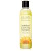 Image 1 : NEW JANE CARTER SOLUTION MOISTURE NOURISHING