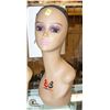 Image 1 : WIG DISPLAY HEAD