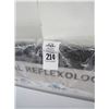 Image 2 : Erasable Drawing Board, Reflexology Chart