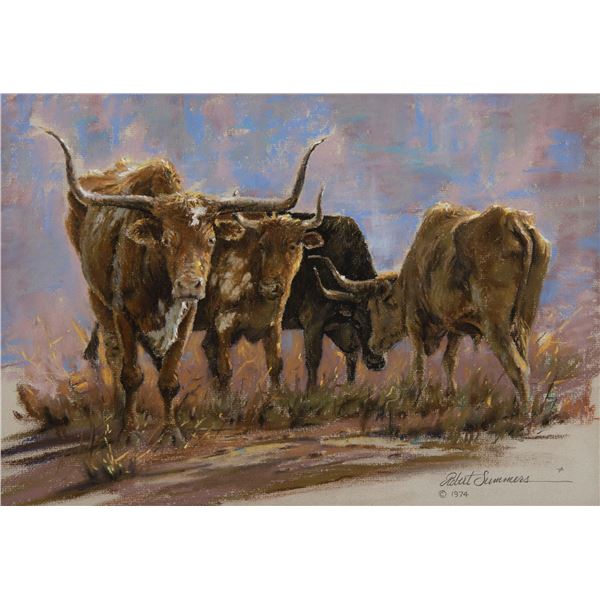 Robert Summers-Longhorns