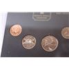 Image 3 : Canadian Royal Mint 1999 Coin Collection - Tiny Treasures Edition