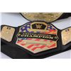 Image 2 : (2) Children's Mattel WWE Wrestling Belts Replicas
