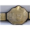 Image 3 : (2) Children's Mattel WWE Wrestling Belts Replicas