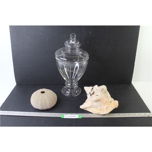 Glass Container w/Lid - (2) Sea Shells