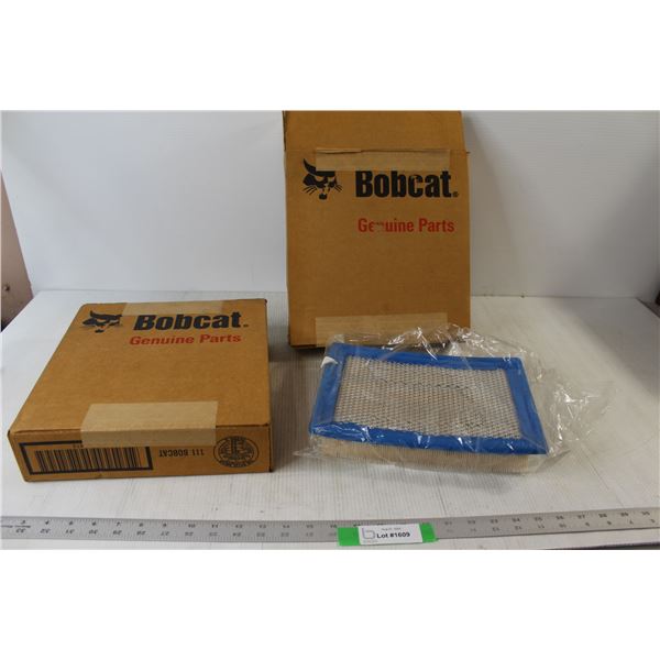 (2) Bobcat Genuine Parts Filters