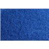 Image 4 : (10) Dustbane 15'' Blue Floor Burnishing Pads