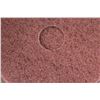 Image 3 : (10) Dustbane 16'' Floor Burnishing Pads