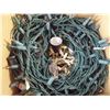 Image 2 : (2) Boxes of Outdoor Christmas Lights