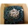 Image 5 : (2) Boxes of Outdoor Christmas Lights