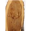 Image 2 : Wood Embossed Mule Deer on Wood - 11" tall
