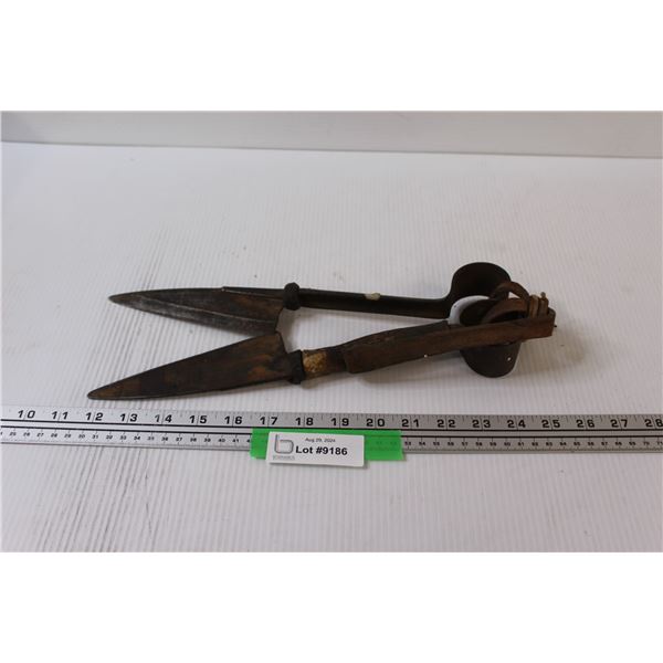 Hind's Brand Double Hollow Ground Shears - 13" Long (Blade 6" Long)