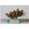 (5) Brass Plumb Bobs