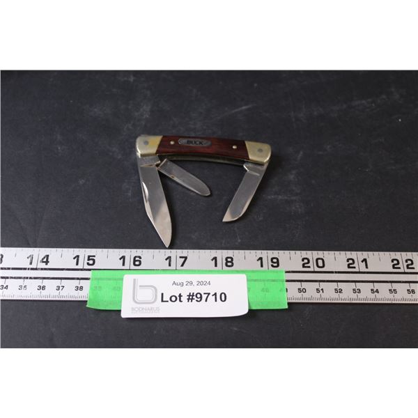 Buck 3.5" Folding Hunting Knife