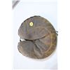 Image 1 : Antique catchers mitt